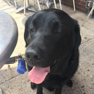 Meet your Posher, Fai